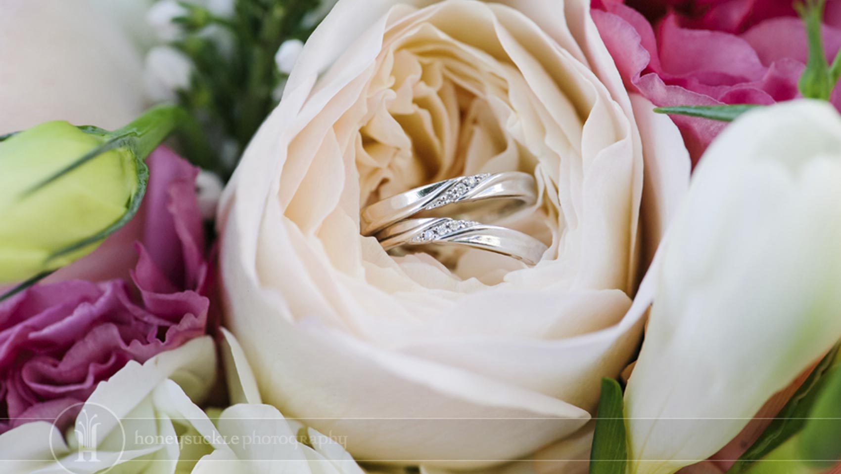 wedding rings nestled in white rose