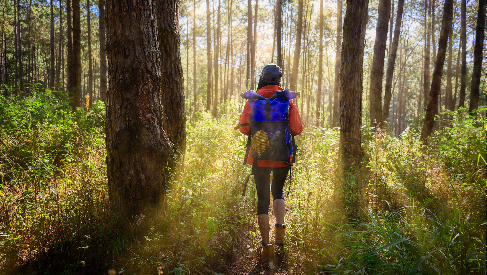 Woman hiking in the woods