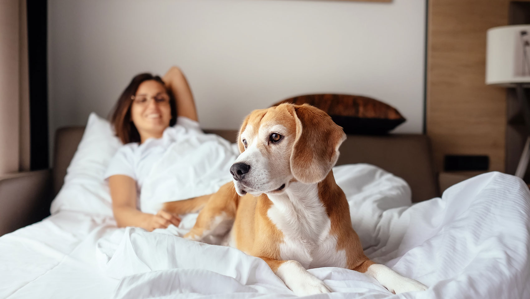 dog and owner laying on bed