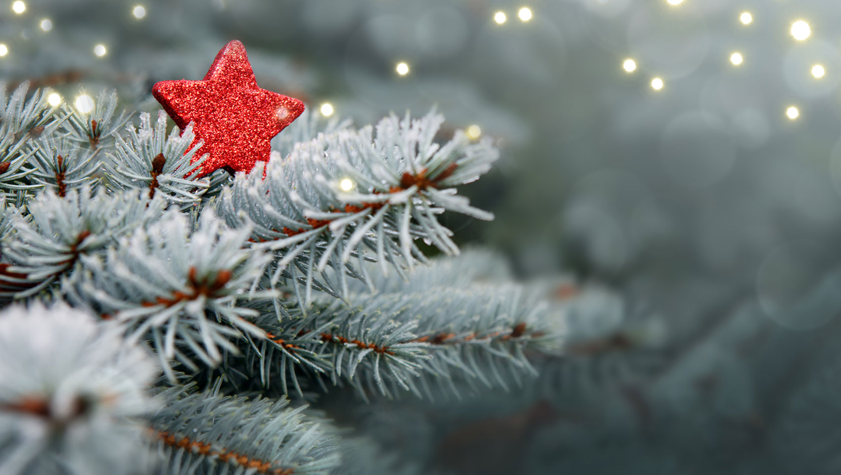 Holiday Tree + Red Sparkle Star Ornament