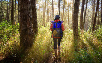 Woman hiking in the woods