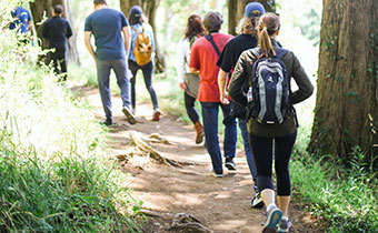 Group Walking Trail