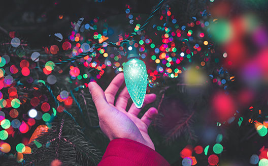 Hand holding Holiday Lights