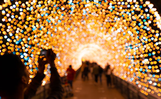 Holiday Lights