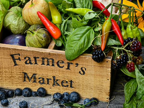 Farm market crate overflowing with green leafy herbs, peppers, gourds, and blueberries and blackberries.