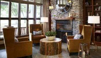Cozy living room with a stone fireplace, two upholstered chairs, patterned lamps, and a round wood-slice coffee table by large windows.